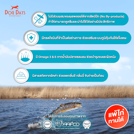 อาหารเม็ดสำหรับสุนัข DOG DAYS เกรดโฮลิสติก รสปลา สูตร DERMA (2.8 KG)_3